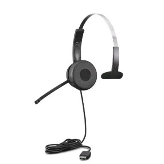 Slušalice Lenovo 100 Mono USB Headset, 4XD1B61617