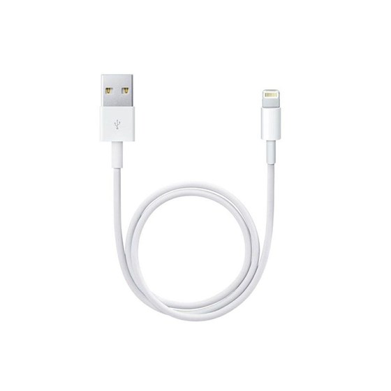 Apple Lightning to USB cable (0.5 m) 