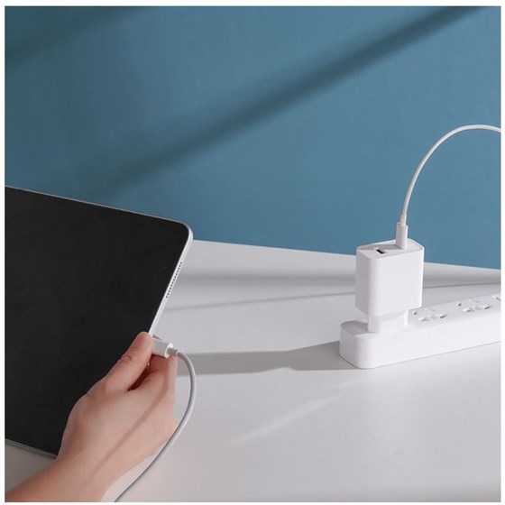 Xiaomi Mi 33W Wall Charger (Type-A+Type-C) EU