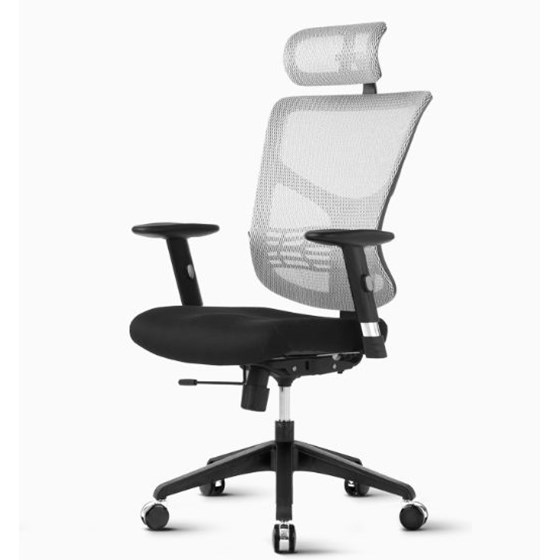 Ergonomski uredski stolac ESSENT 01 Bijelo-siva leđa/crno sjedalo boja