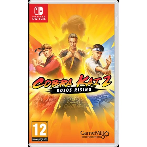 Switch igra Cobra Kai 2: Dojos Rising