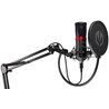 Mikrofon Endorfy Solum Streaming (SM950) P/N: EY1B004