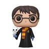 FUNKO POP: HARRY POTTER - HARRY POTTER(WITH HEDWIG)