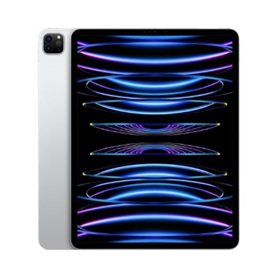 Apple 12.9-inch iPad Pro (6th) Wi_Fi 256GB - Silver, mnxt3hc/a