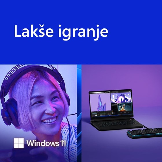 Software Microsoft Windows 11 Home FPP CRO (usb stick), HAJ-00104