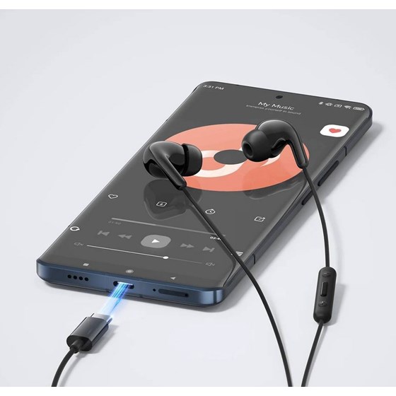 Xiaomi Type-C Earphones Black - Žične slušalice