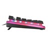 Tipkovnica DELTACO GAMING DK220 Membrane RGB Gaming Keyboard, 25-anti-ghosting keys, black
