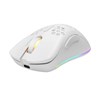 Miš DELTACO GAMING WM80 Wireless lightweight RGB gaming mouse, white