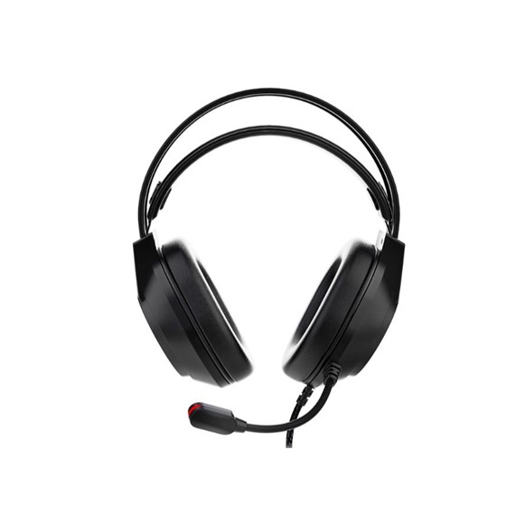 Slušalice DELTACO GAMING DH220 USB Stereo Gaming Headset, RGB, Black