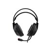 Slušalice DELTACO GAMING DH220 USB Stereo Gaming Headset, RGB, Black