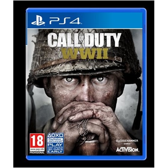 PS4 igra Call of Duty : WWII Standard Edition P/N: 88108EU 