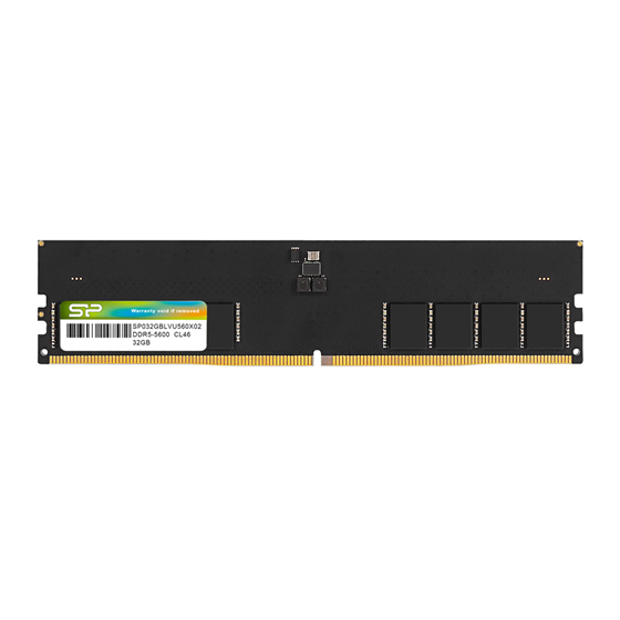Memorija za PC, 32GB (1x 32GB) DDR5 5600 MT/s, Silicon Power, CL42, SP032GBLVU560F02