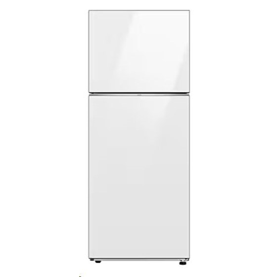 SAMSUNG hladnjak RT42CB662412EO 