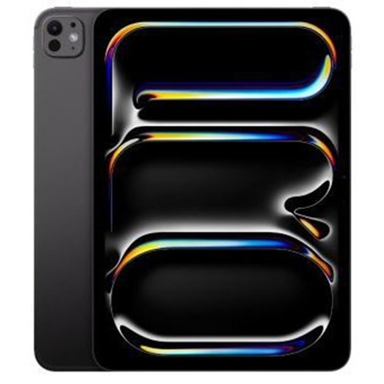 Apple 11-inch iPad Pro (M4) WiFi 256GB with Standard glass - Space Black
