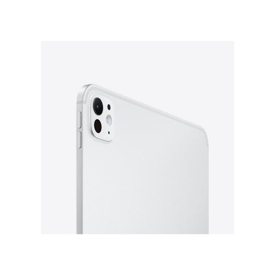 Apple 11-inch iPad Pro (M4) WiFi 256GB with Standard glass - Silver