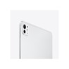 Apple 11-inch iPad Pro (M4) WiFi 256GB with Standard glass - Silver