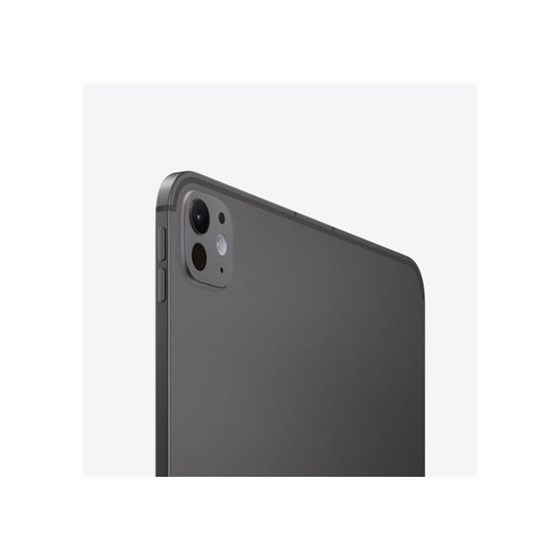 Apple 11-inch iPad Pro (M4) Cellular 256GB with Standard glass - Space Black