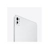 Apple 11-inch iPad Pro (M4) Cellular 256GB with Standard glass - Silver