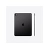 Apple 13-inch iPad Pro (M4) WiFi 256GB with Standard glass - Space Black