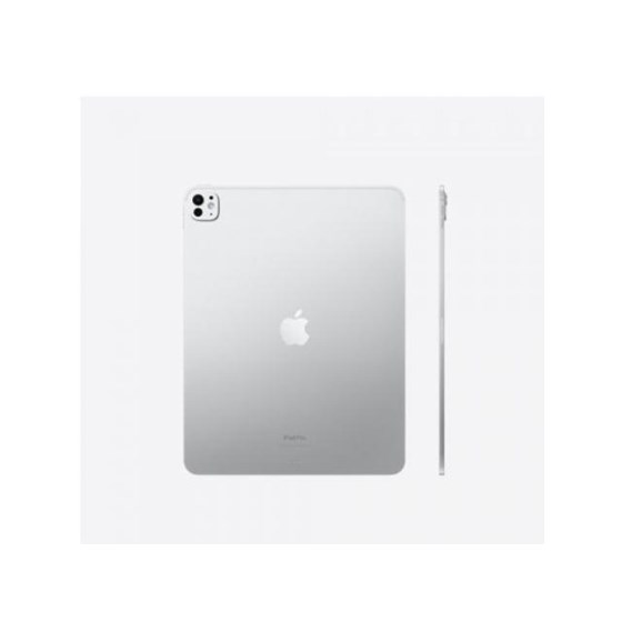 Apple 13-inch iPad Pro (M4) WiFi 256GB with Standard glass - Silver
