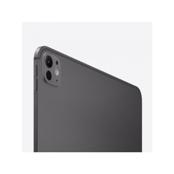 Apple 13-inch iPad Pro (M4) WiFi 2TB with Standard glass - Space Black
