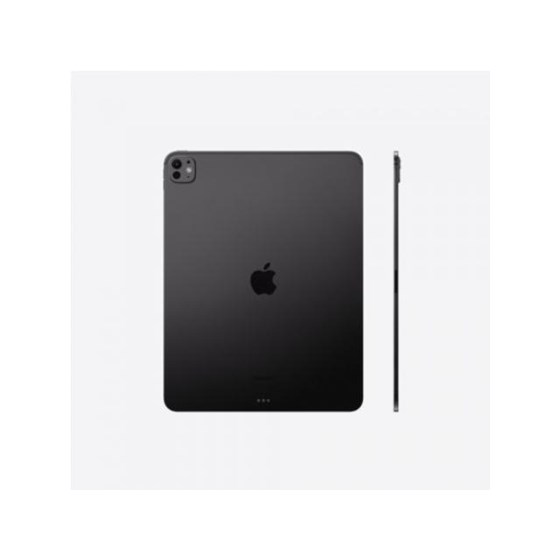 Apple 13-inch iPad Pro (M4) WiFi 2TB with Standard glass - Space Black