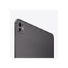 Apple 13-inch iPad Pro (M4) Cellular 1TB with Nano-texture Glass - Space Black