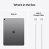 Apple 13-inch iPad Air (M2) Cellular 1TB - Space Grey