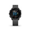 Smartwatch Garmin Forerunner 245 Black Slate P/N: 010-02120-10