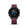 GARMIN Forerunner 245 Black Berry