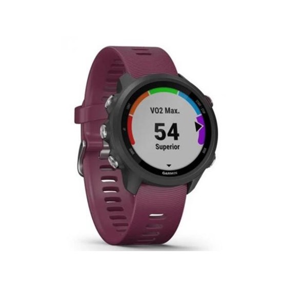 GARMIN Forerunner 245 Black Berry