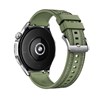 Huawei Watch GT4 46mm, Green (Phoinix-B19W)