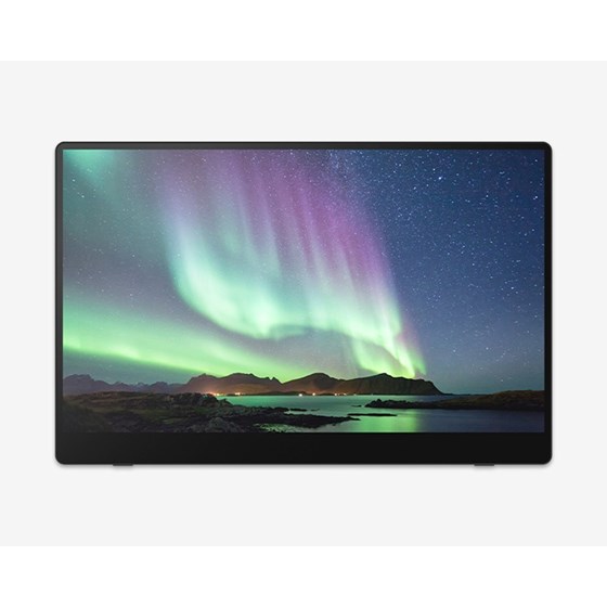 RICOH 150 Prijenosni monitor, 514909