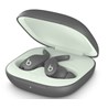 Beats Fit Pro True Wireless Earbuds - Sage Grey, mk2j3zm/a