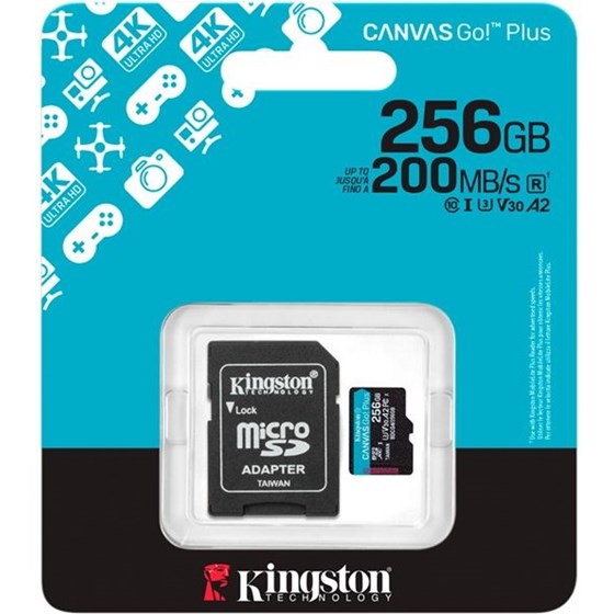 Memorija microSD 256GB Kingston Canvas Go! Plus, R200/W100 P/N: SDCG4/256GB