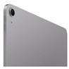 Apple 13-inch iPad Air (M4) Cellular 1TB - Space Grey