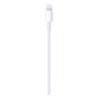 Kabel Apple USB-C to Lightning Cable (1 m), muq93zm/a