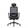 Ergonomski uredski stolac Ergovision Expert Crni