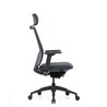 Ergonomski uredski stolac Ergovision Expert Crni
