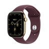 Apple Watch S12 Cellular 42mm Radiant Gold Titanium Case with Burgundy Sport Band - S/M