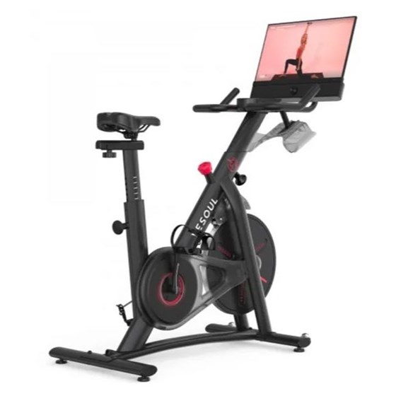 YESOUL Spinning Bike G1M Plus crni